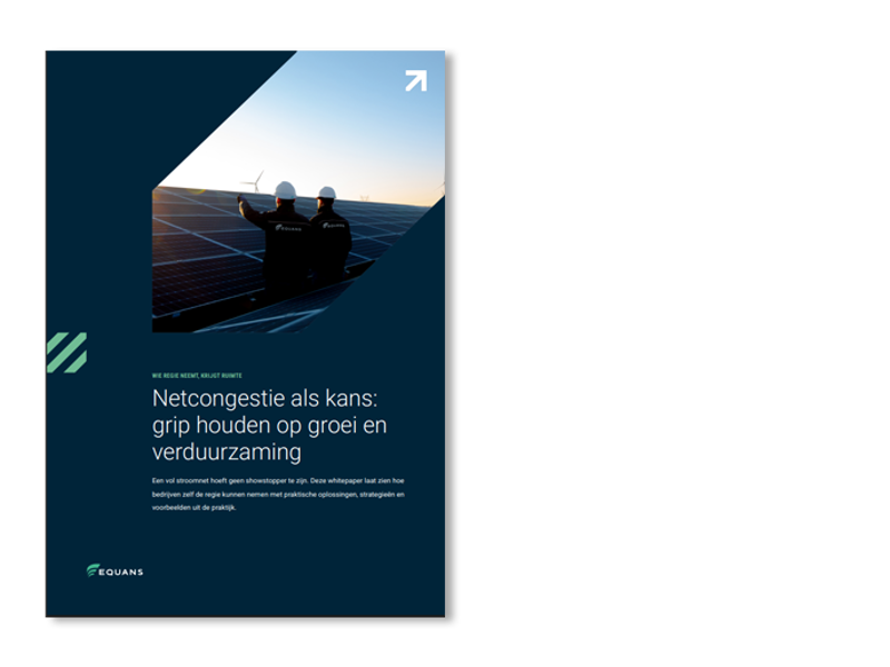 Afbeelding Whitepaper Netcongestie 4